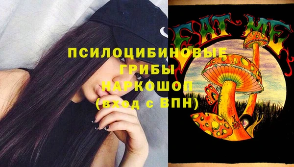 прущие крисы Алзамай