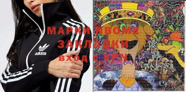 индика Пересвет